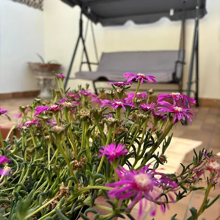 بيت للعطل A 2 Passi Dal Blu