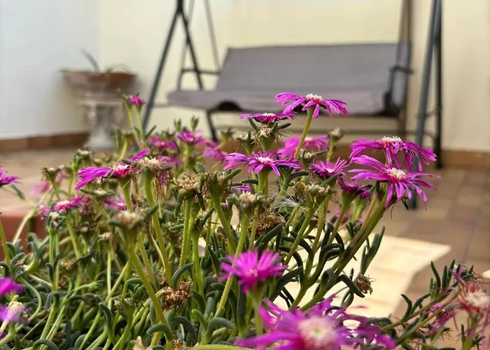 Ferienhaus A 2 Passi Dal Blu